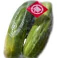 Caserta Farms | Cucumbers