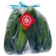 Caserta Farms | Cucumbers